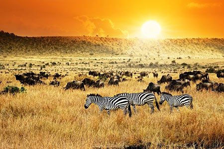 Sasol to lead feasibility study for green hydrogen project in South Africa