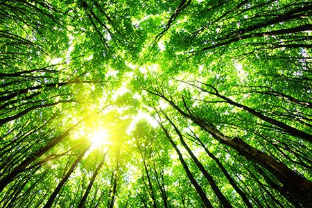 RNT-EP affirms support for Minbos’ zero-carbon green hydrogen & ammonia project