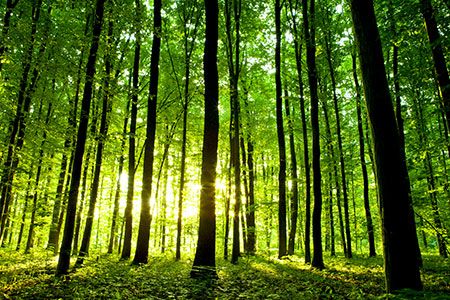 Interest in low carbon hydrogen growing