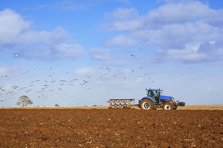 Green hydrogen and ammonia project receives funding
